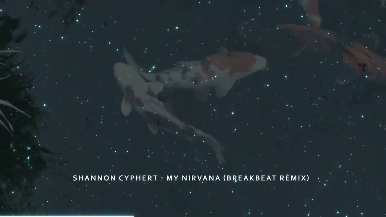 Shannon Cyphert - My Nirvana (breakbeat remix)