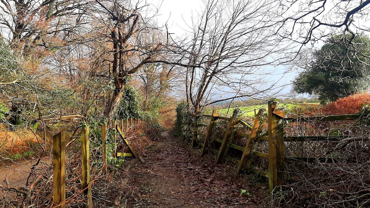Recky of Playing Place path to Kea School #vlog #school #storms #2026  
