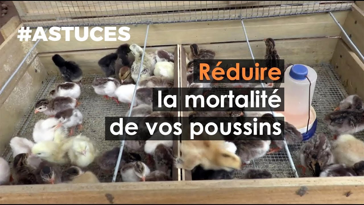 #ASTUCES