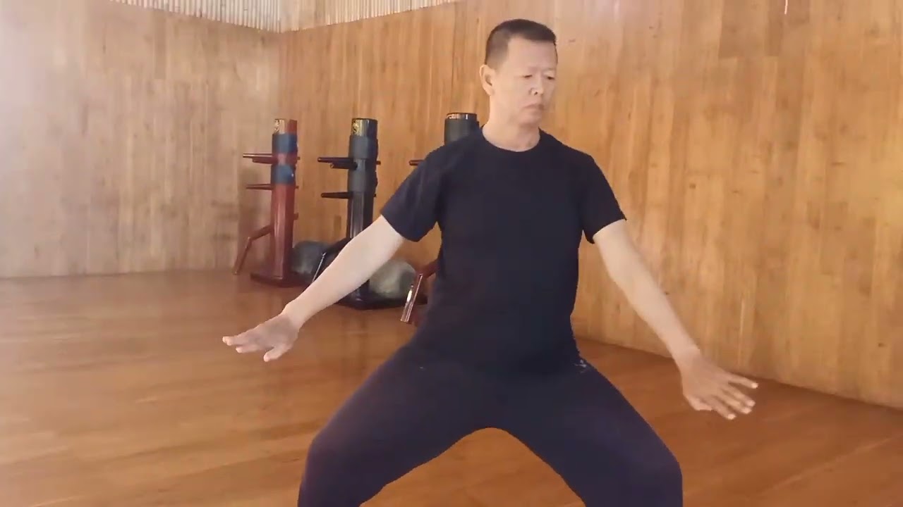 Yilu 27 forms of Chen style taijiquan practical method.