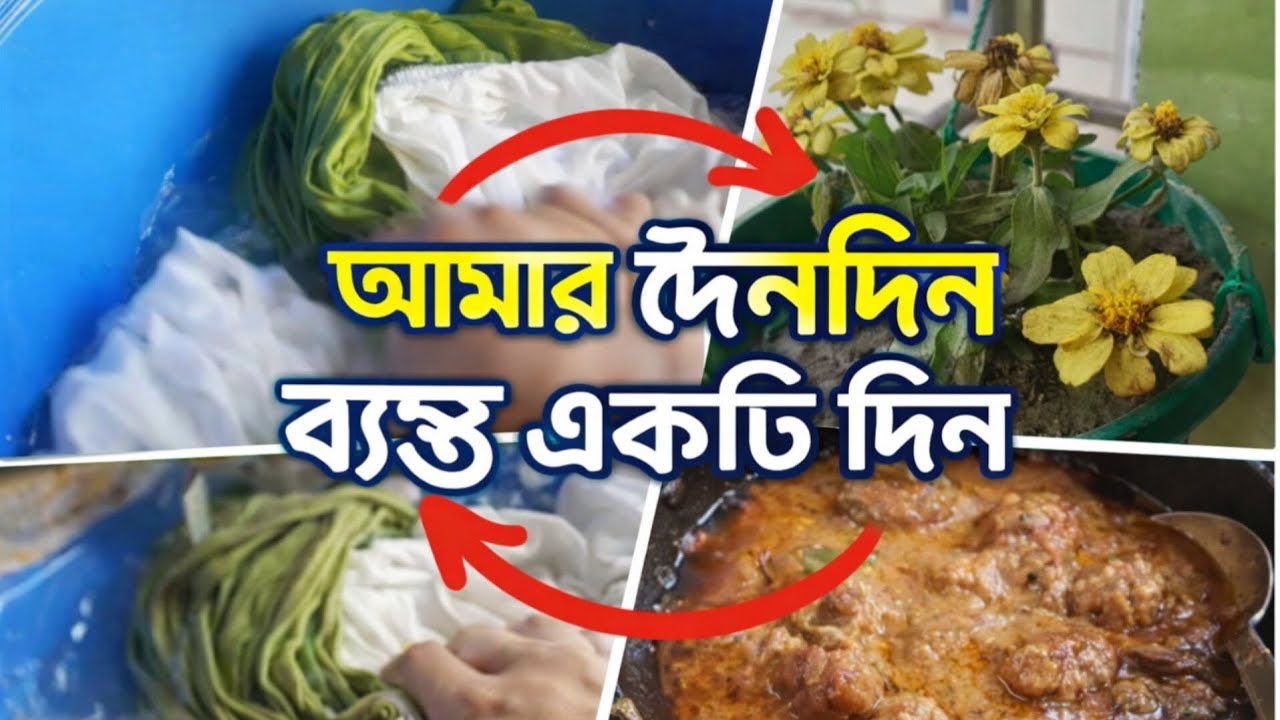 কর্মব্যস্ত একটি দিন❤️