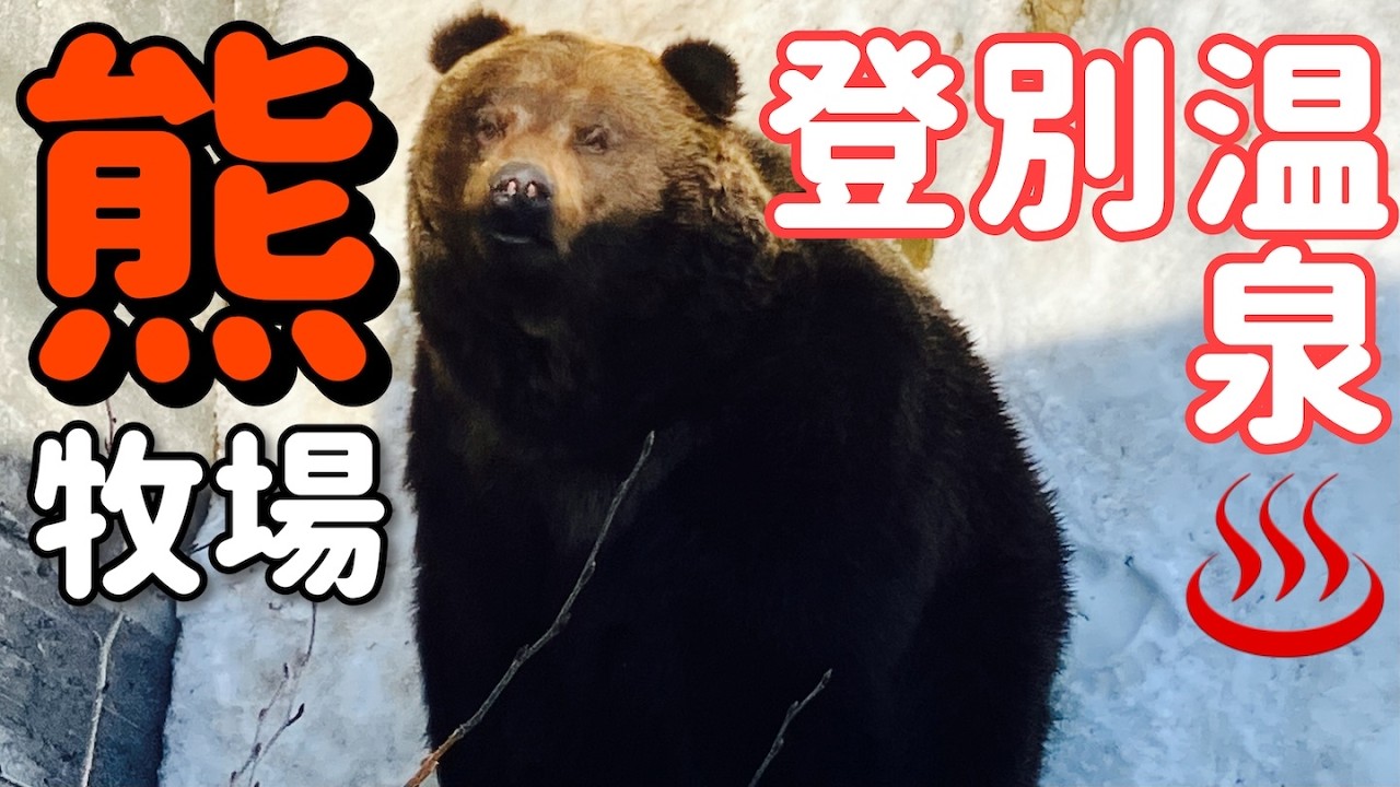 【登別温泉】クマ牧場とロープウェイ