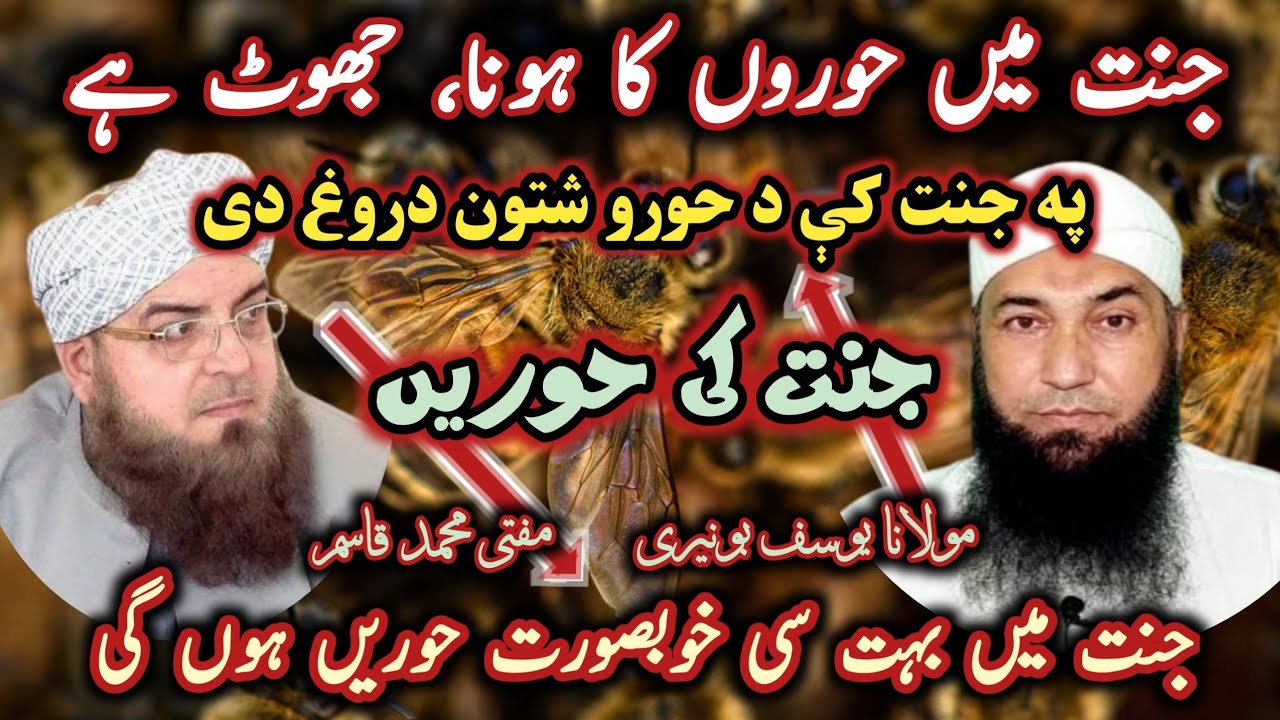Mufti muhammad qasim vs maulana muhammad yousuf buniri / جنت میں حوروں کا ہونا، جھوٹ ہے@Safi100 