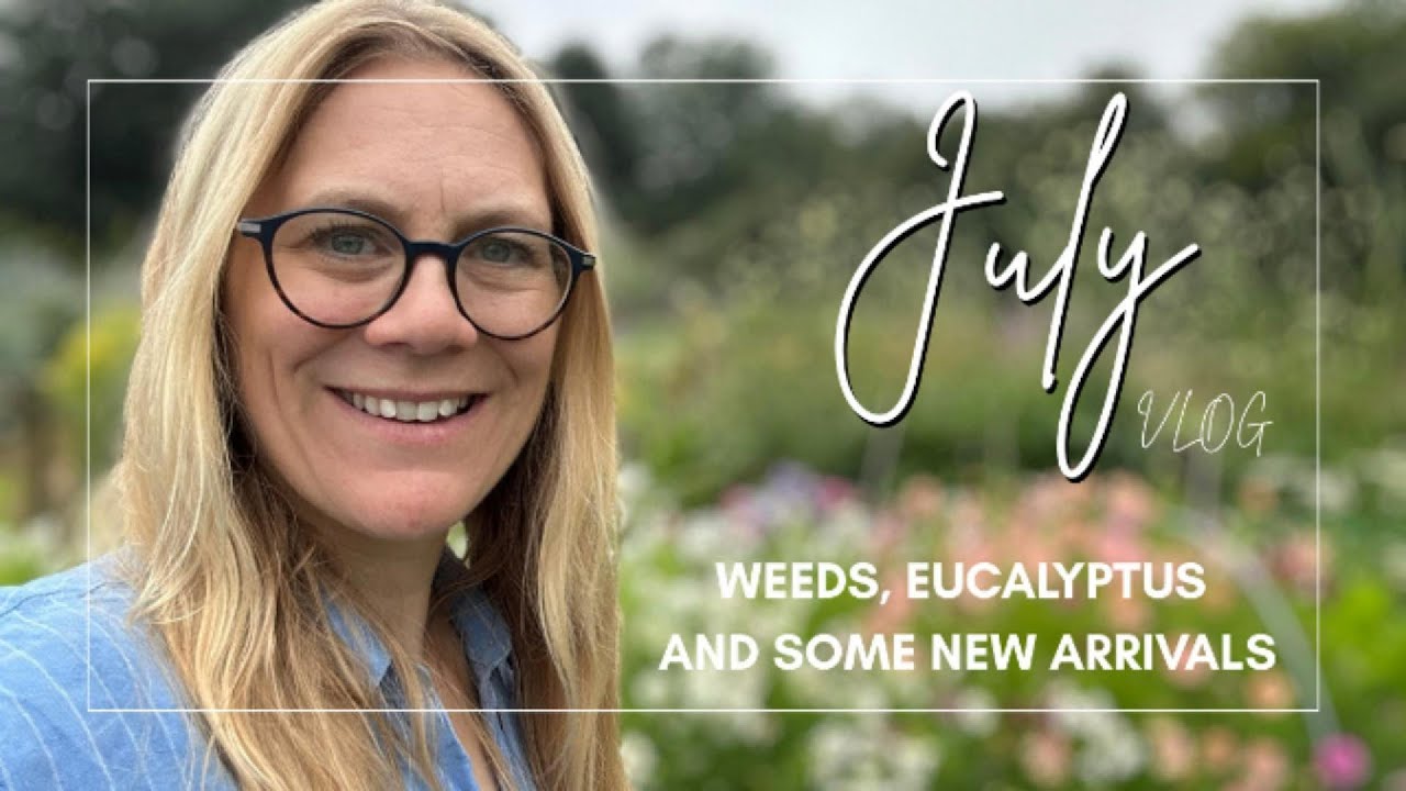 July Vlog  Weeds, Eucalyptus and New arrivals