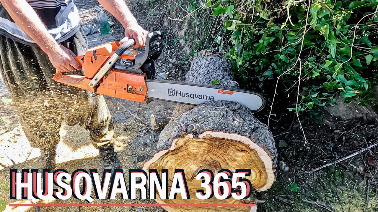 Motorlu Testere İnceleme. EFSANE HUSQVARNA 365 Special