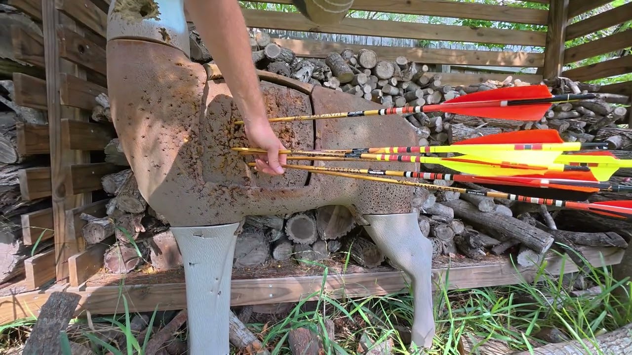 Longbow Practice