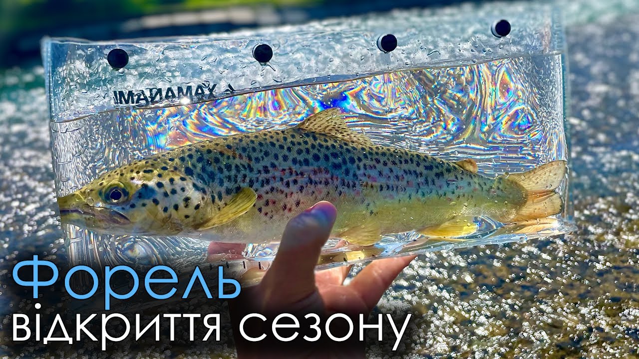 ВІДКРИВ ФОРЕЛЕВИЙ СЕЗОН ТРОФЕЄМ І НАТРАПИВ НА БРАКОНЬЄРІВ! Риболовля в Україні!