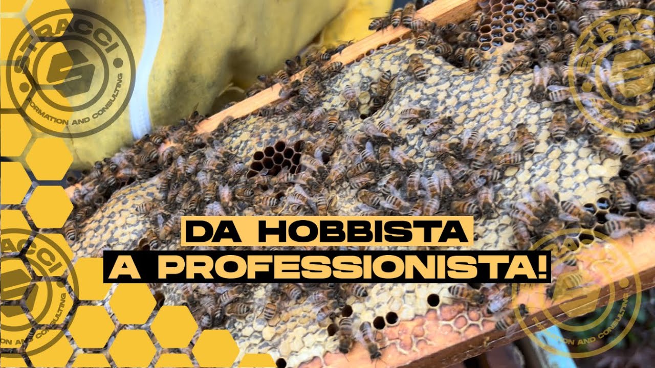 Apicoltura: come passare da Hobby a Professione