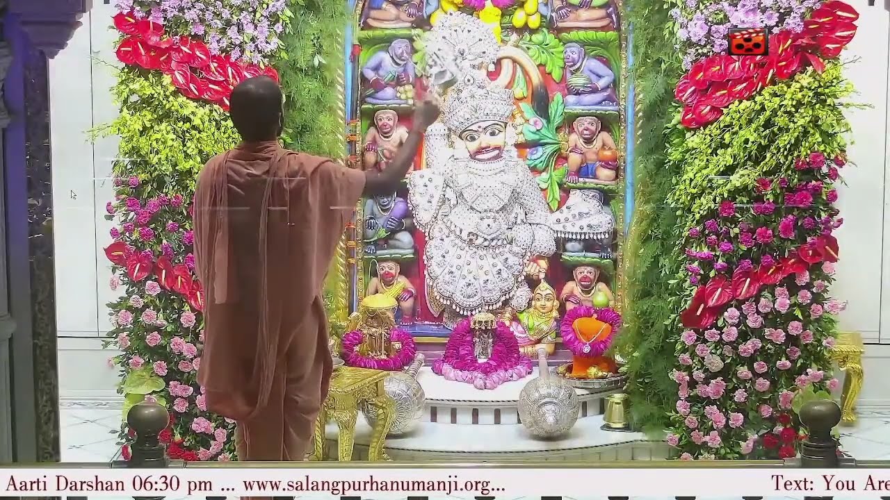 Aarti Darshan Salangpur Date 13 11 2024