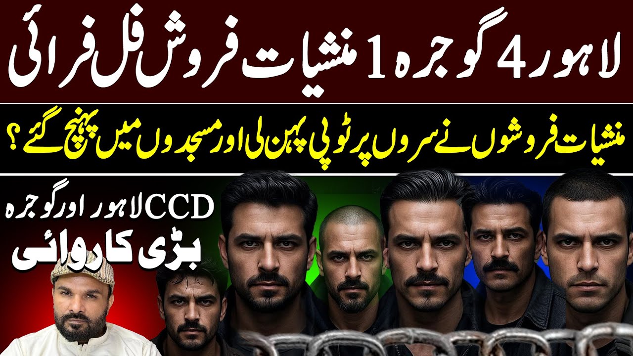 CCD Operation In Lahore & Gojra 5 Full Fry || CCD Lahore & Gojra Big Operation || Shaan Pakistan