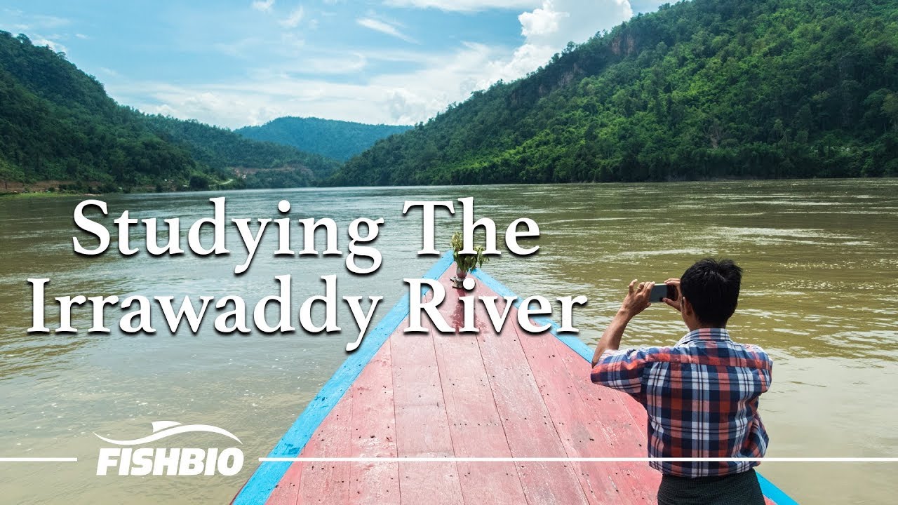 Studying The Irrawaddy River