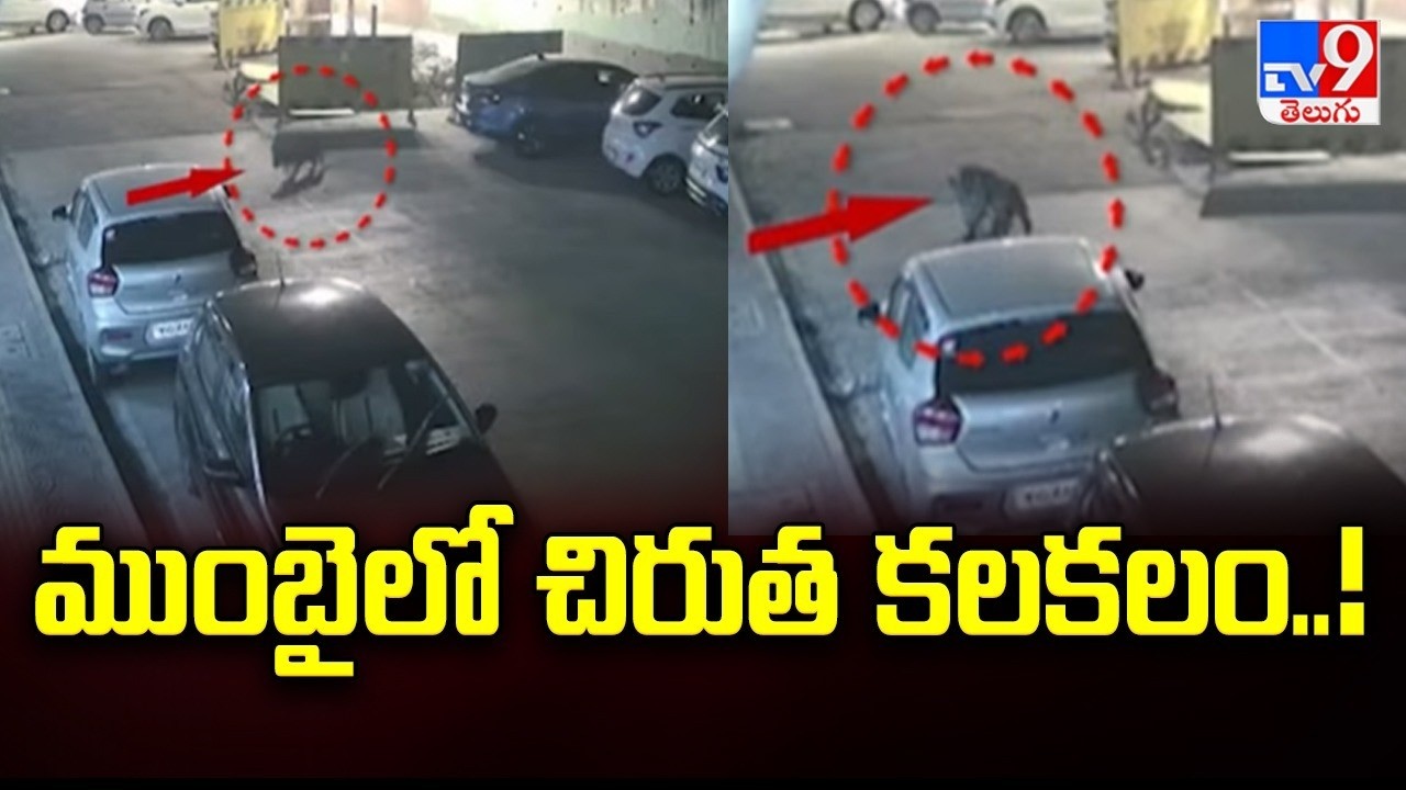 ముంబైలో చిరుత కలకలం..! | Mumbai - TV9