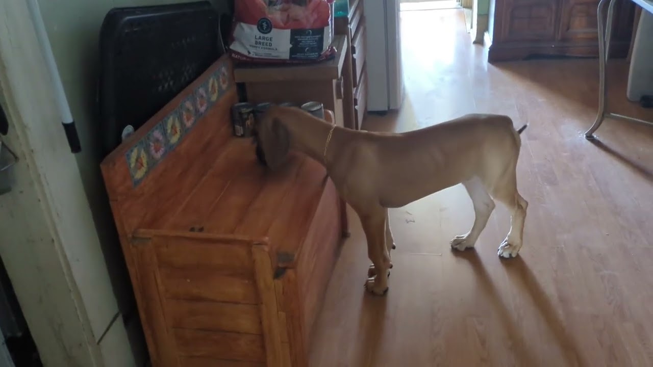 Loki First Steps: New Kingdom