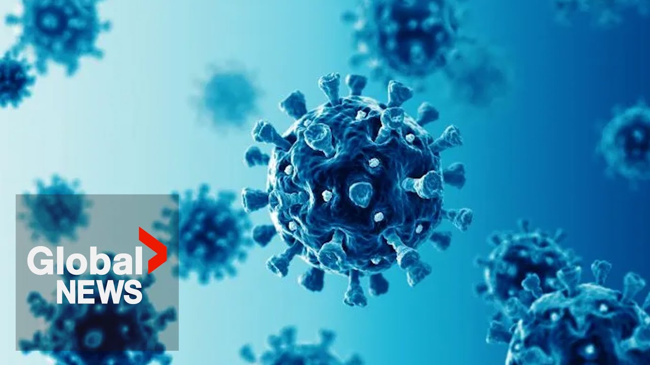 Surge of new COVID-19 cases in Canada due to EG.5 sub-variant