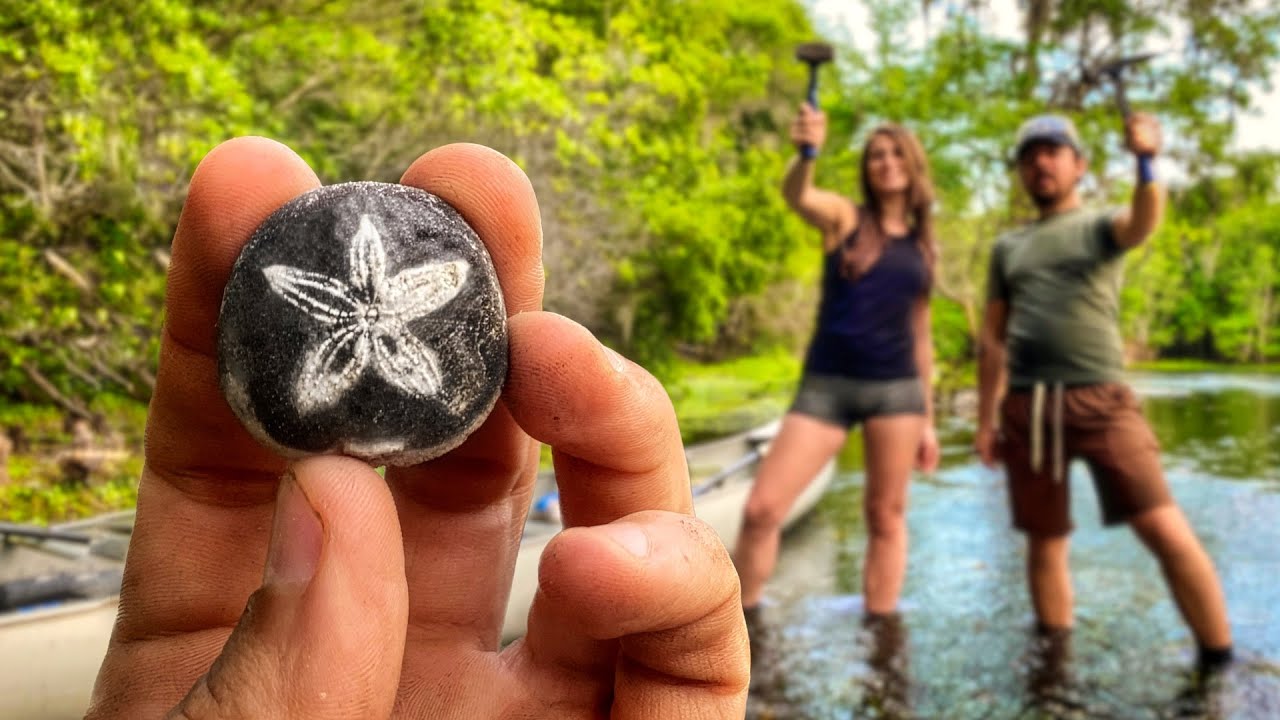 ⛏️ Cracking Open Rocks for INCREDIBLE Crystal Covered Fossils & Exploring a Florida River! 🛶🐊⛈️🐢