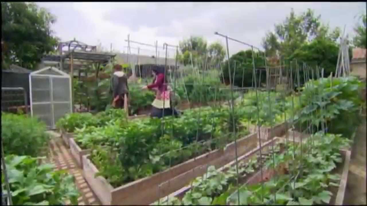 Городские фермы | SoCal Connected | KCET