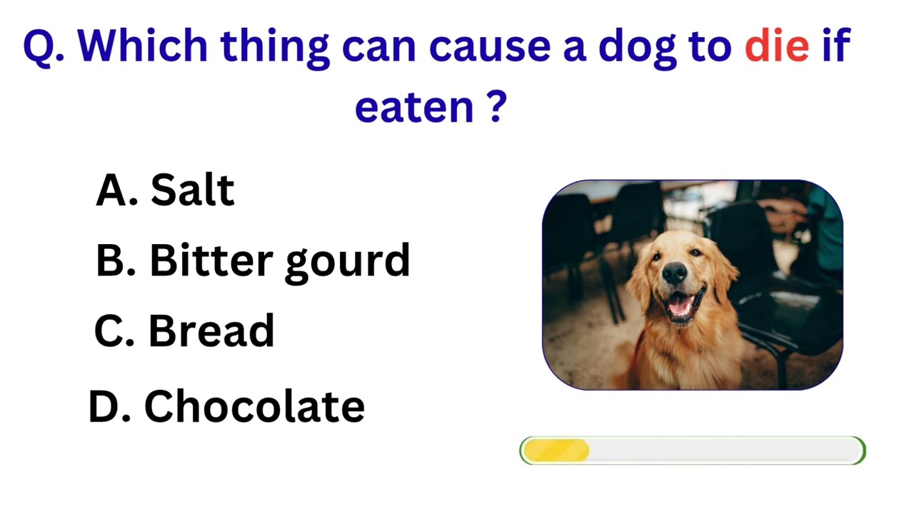 Top 10 INDIA GK question and answer | GK questions & answers | GK - 5 | GK question | GK Quiz |GK GS