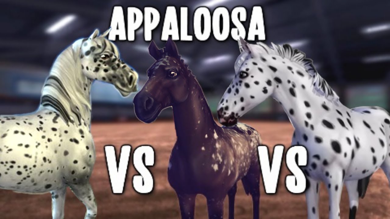 OLD vs NEW Appaloosa Horse [gaits/animations] & buying a horse - Star Stable Spoilers