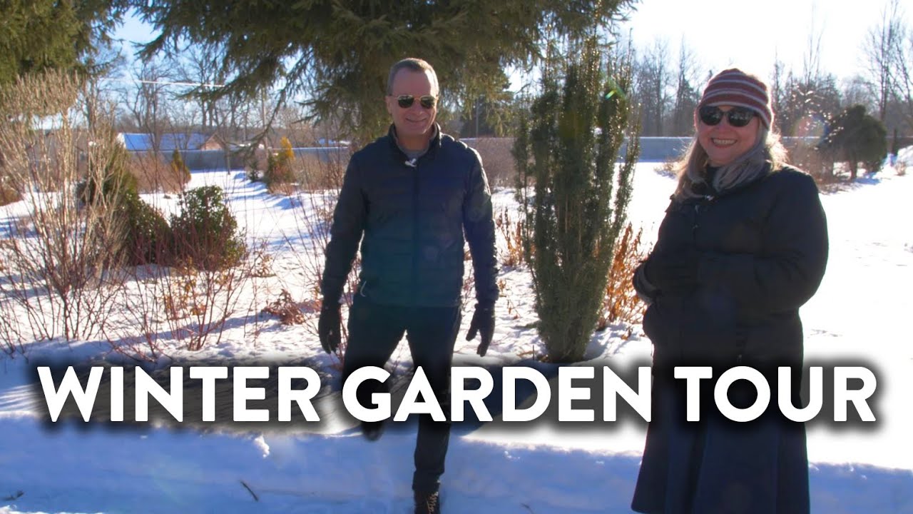 Winter Garden Tour! | Highlighting Winter Standouts and Talking Winter Plant Care