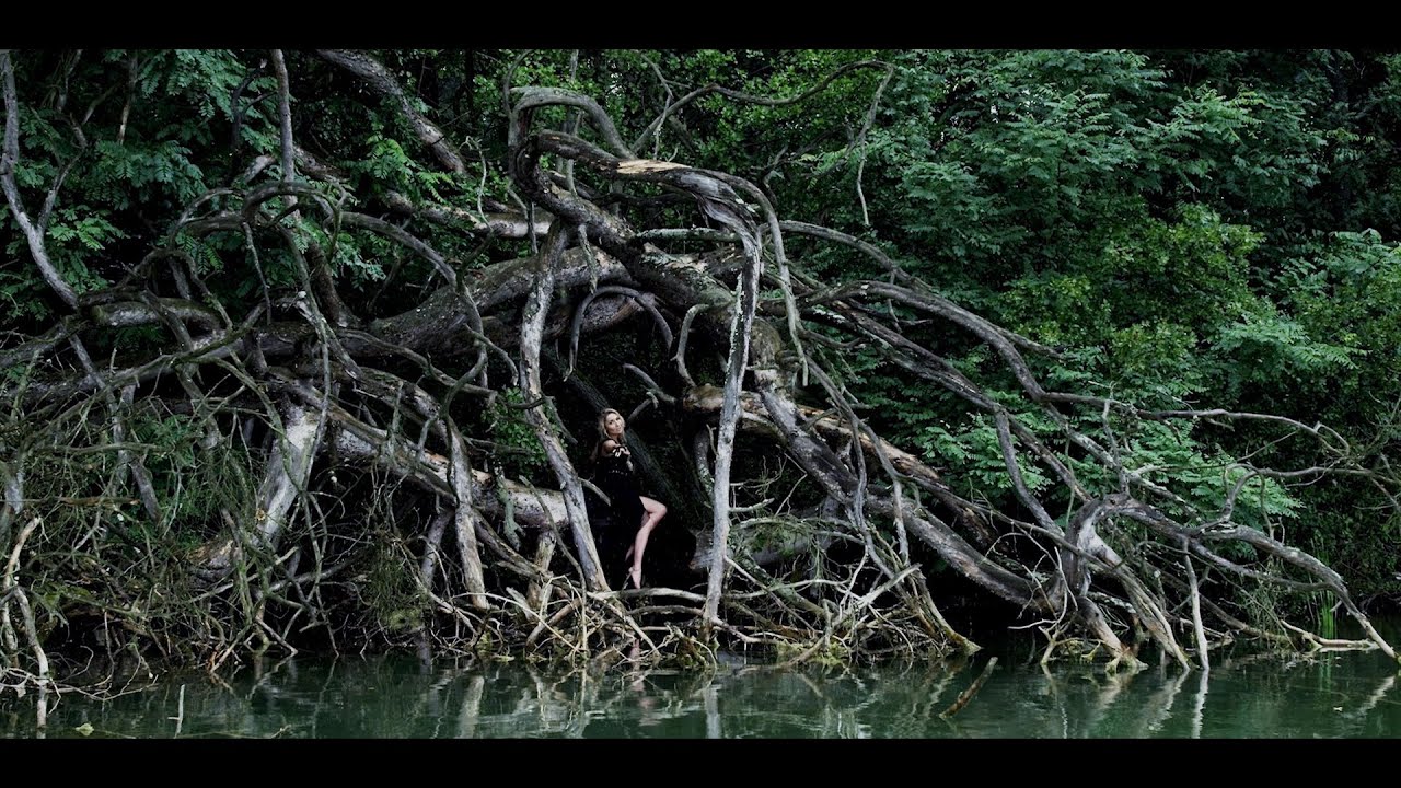 Donatan Cleo - Sztorm