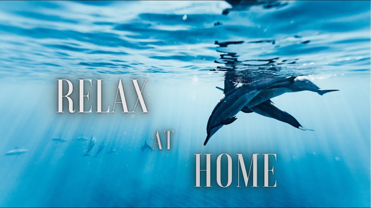 Relax at home music, ambient meditation sounds|музыка для релакса