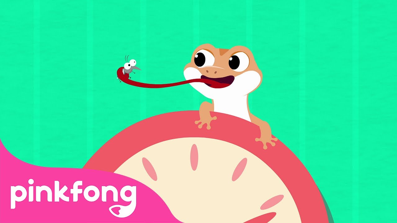 Cicak the Lizard Song | Indonesian Children's Songs | Lizard on the Wall | Pinkfong Baby Shark