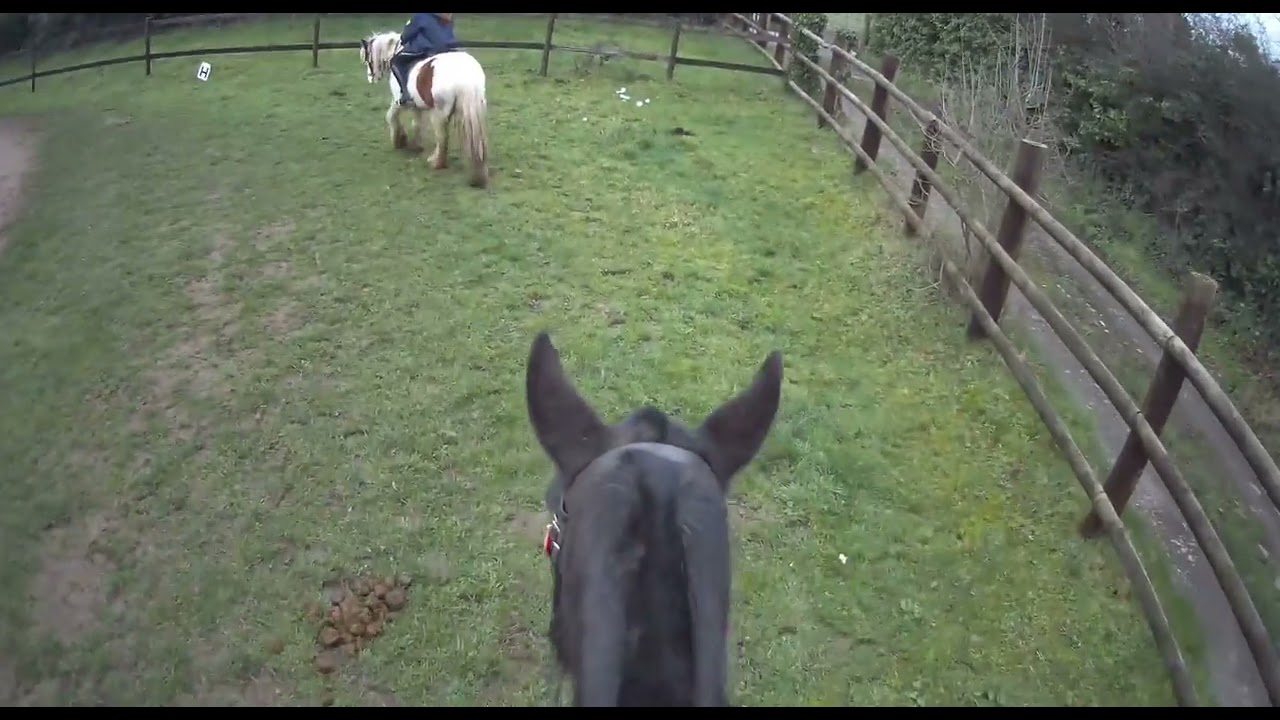 Full group lesson course with Martha 