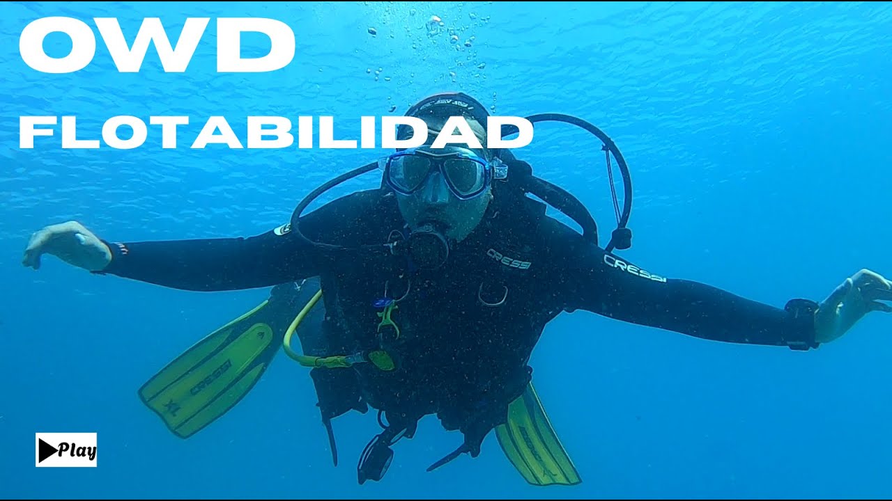 Flotabilidad en Buceo: El Concepto que Todo Buzo Debe Dominar