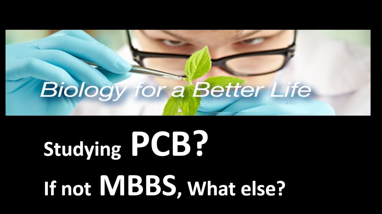 Career options for PCB Students | Biology Stream
