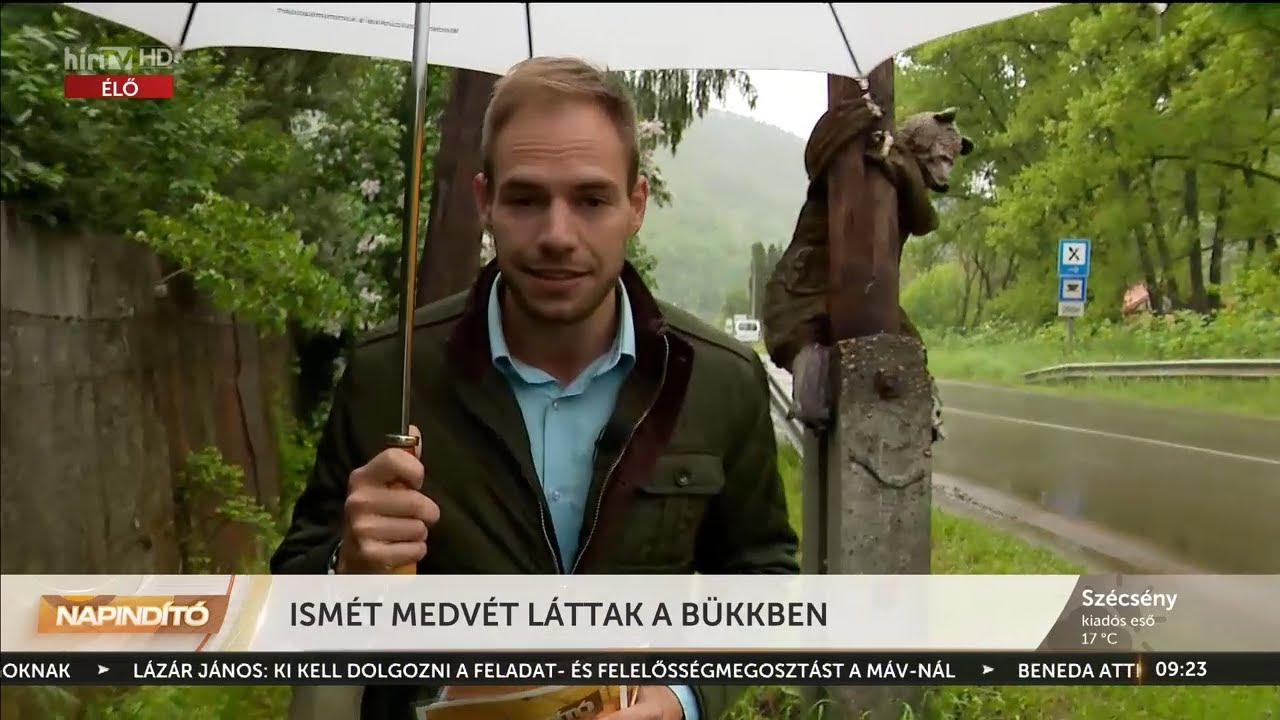 Napindító – Ismét medvét láttak a Bükkben (2023-05-16) - HÍR TV