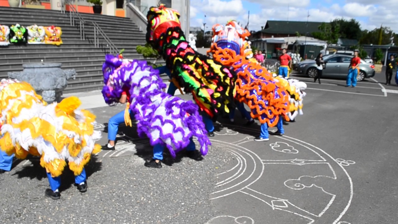 DBQA 大悲觀音龍獅隊 Lion dance at Quang Minh temple