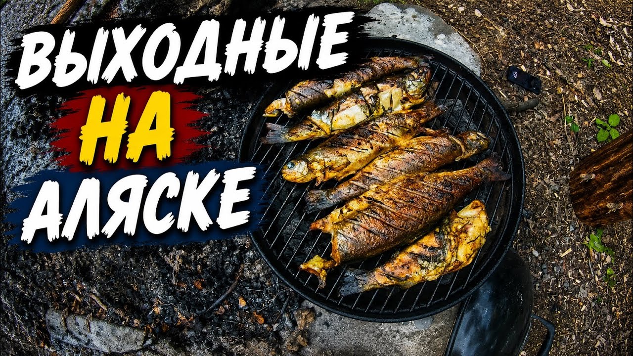 Рыбалка на Форель Сбор Трав и Ягод Выходные на Аляске