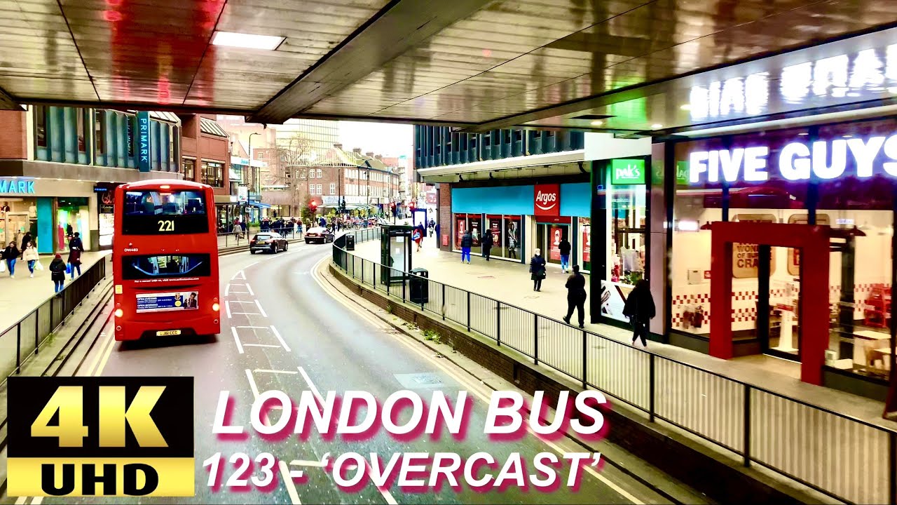 London Bus Rides 🇬🇧 Route 123 🚍 Ilford To Wood Green Station