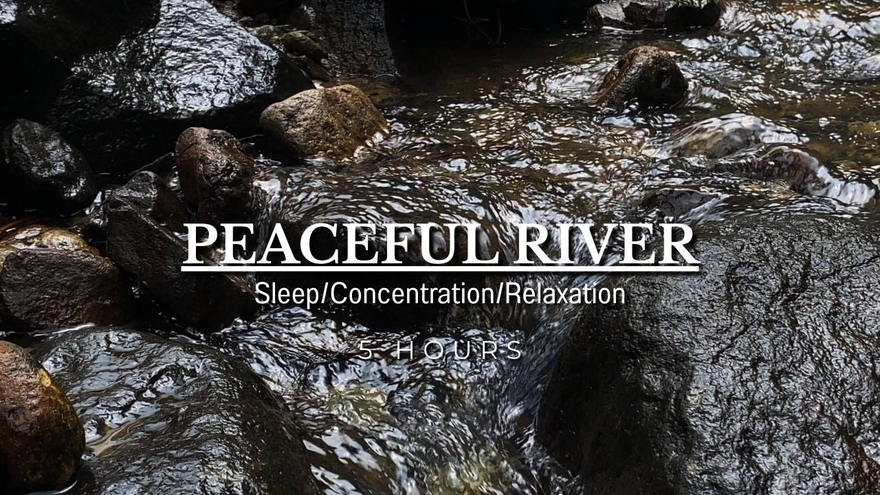 Peaceful River Water Sounds, Light Forest Birds, Calming Natural Ambience