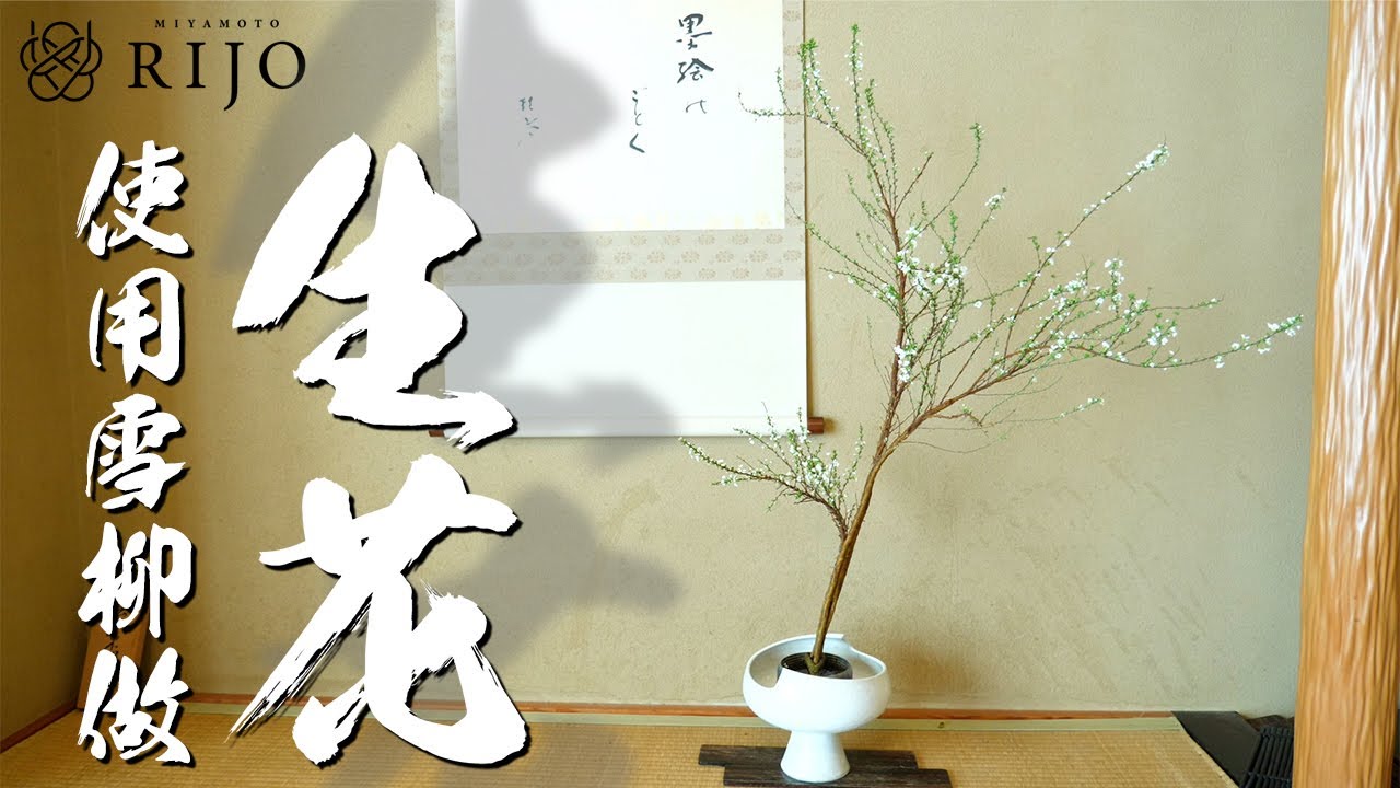 【日式插花教学】雪柳的生花做法演示，向大家介绍优雅古典的古流日式生花方法
