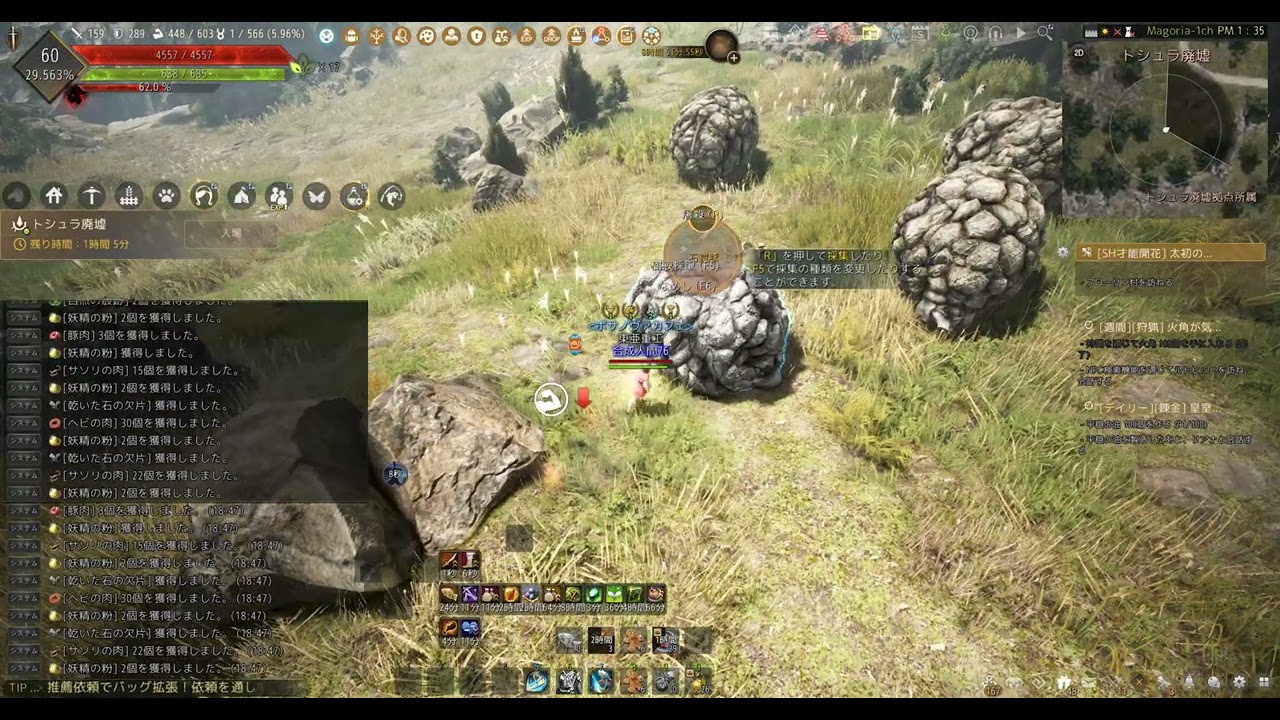 Black Desert 黒い砂漠 ヘビサソリ肉採集ルート