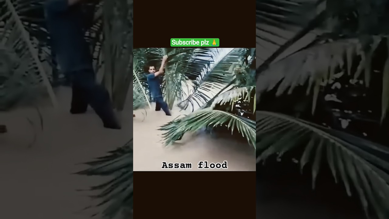 Guwahati Assam flood 😢🙏prey for assam  #guwahati #flood #rain #people #prey #seo