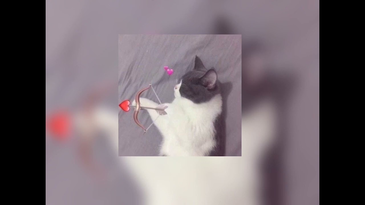 Dil Dooba (sped up) | Shreya Ghoshal, Sonu Nigam|Desi♡music