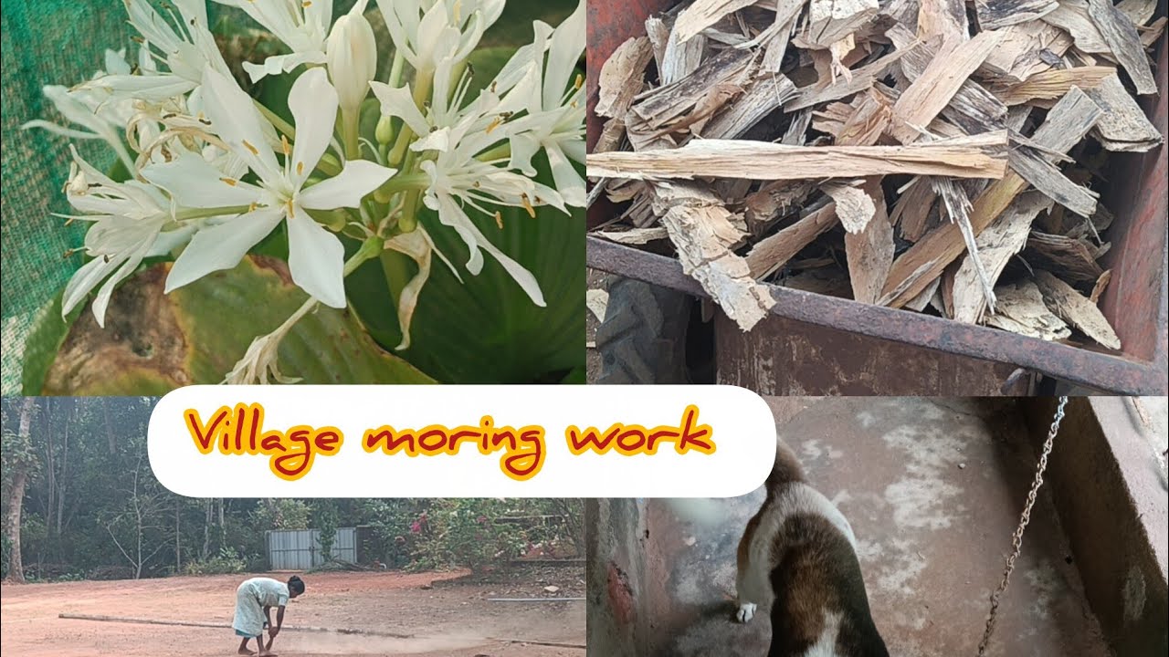 Indian village life morning routine#village life 