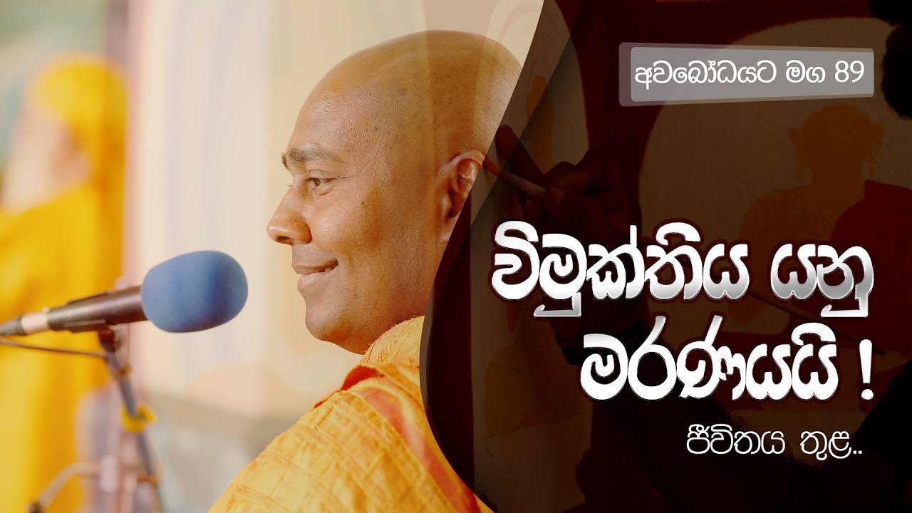 අවබෝධයට මග 89 | විමුක්තිය යනු මරණයයි! ජීවිතය තුළ..