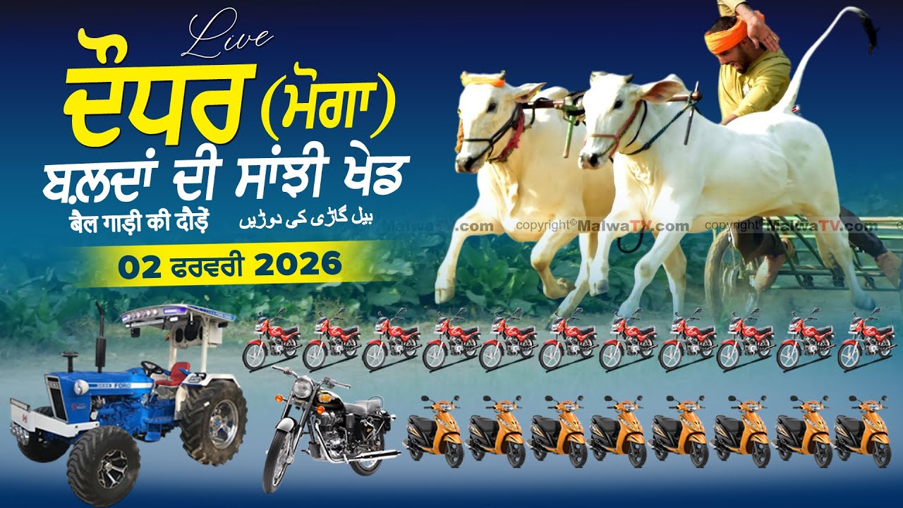 🔴 [LIVE] DAUDHAR (Moga) OX RACES / ਬਲਦਾਂ ਦੀ ਸਾਂਝੀ ਖੇਡ 02 Feb. 2026 | Today Ox Races Live
