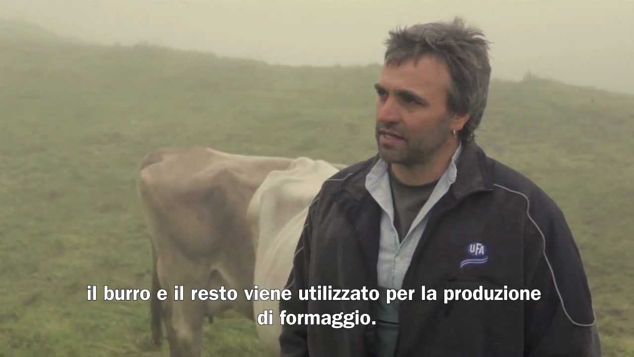Migros Intervista: Allevamento di vitelli TerraSuisse
