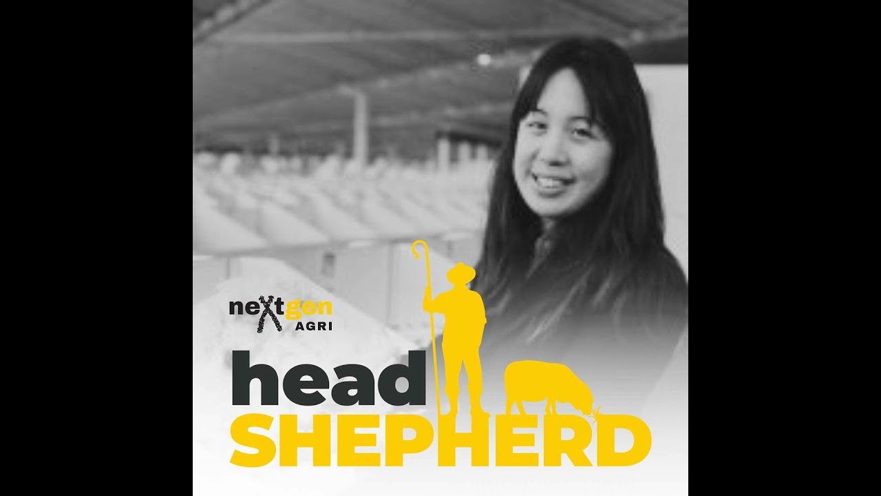 How innovation is changing the wool industry with Sam Wan