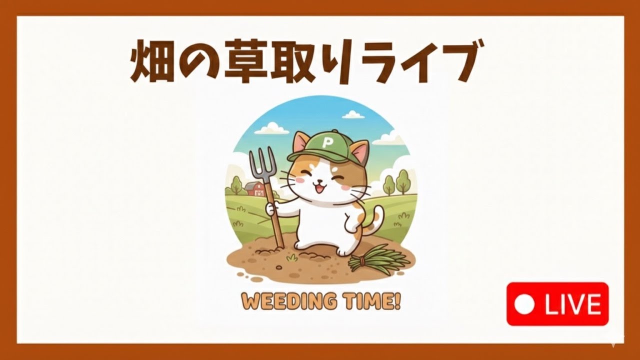 畑の草取りしながらお昼ご飯を考える