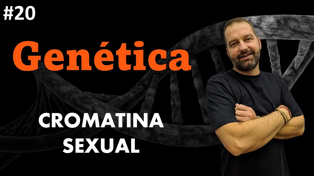 Corpúsculo de Barr ou Cromatina Sexual