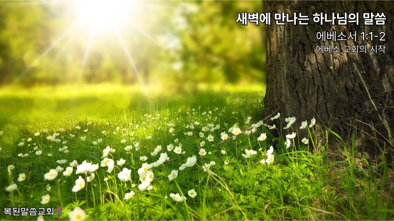 에베소 교회의 시작 / 에베소서 1:1-2