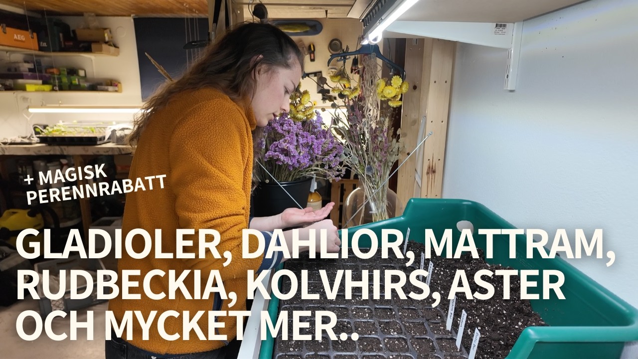 Om att vara mer av sig själv och om att förodla dahlior & gladioler.. och en stor sådd med såklart.