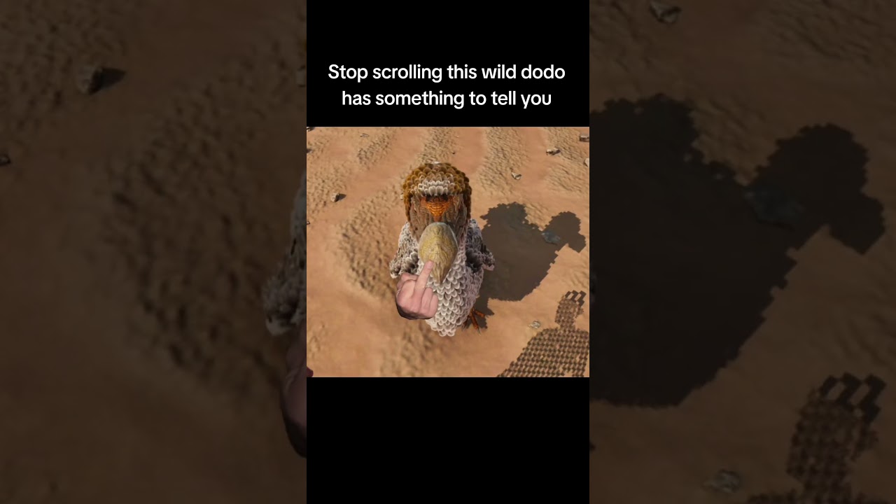 Ark Memes