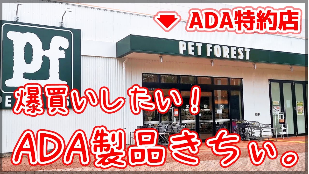 アクアリウム ADA特約店が近所に出来たから行ってみてぬふぬふした話 関東最大チェーン店 pet forest