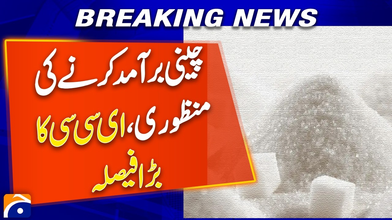 ECC Approves Export of 108,000 Metric Tons of Sugar | Major Economic Decision